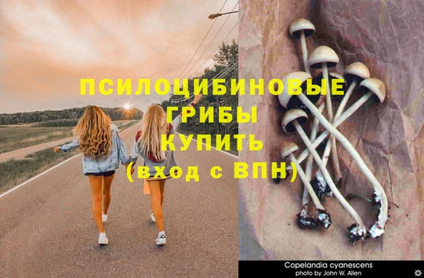 стаф Абинск