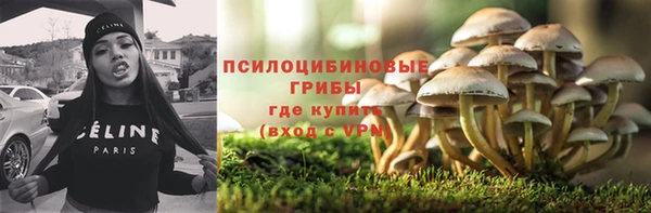 ECSTASY Абаза