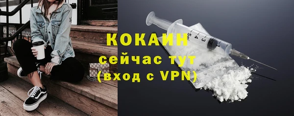 стаф Абинск