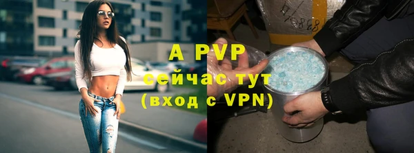 ECSTASY Абаза