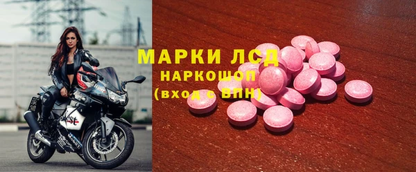 стаф Абинск
