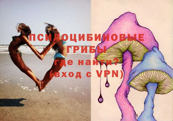 ECSTASY Абаза