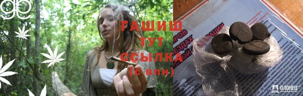 стаф Абинск