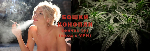 ECSTASY Абаза