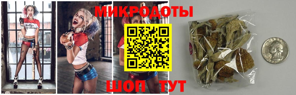 Галлюциногенные грибы мухоморы  Вход с VPN  Кинешма 